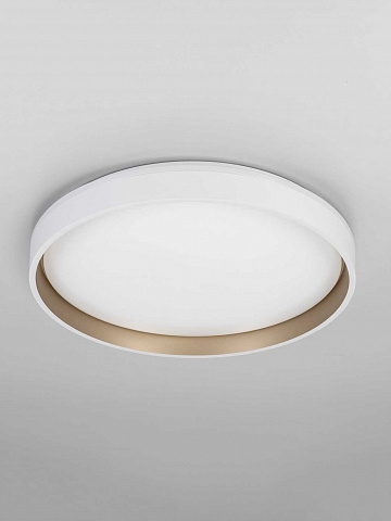 Накладной светильник Citilux CL753450G
