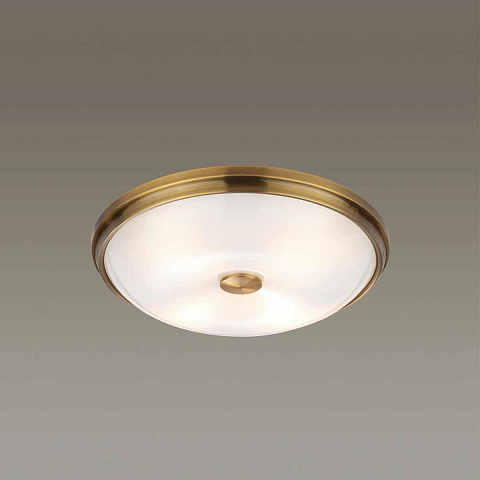 Накладной светильник Odeon Light 4956/4