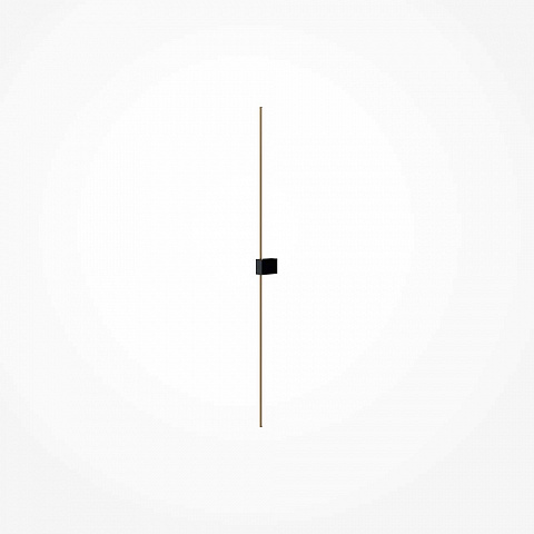 Настенный светильник Maytoni Technical Pars C071WL-L12GB3K