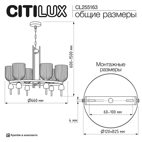 Подвесная люстра Citilux Carson CL255163
