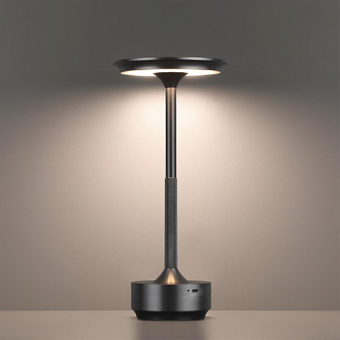 Настольная лампа Odeon Light 5034/6TL