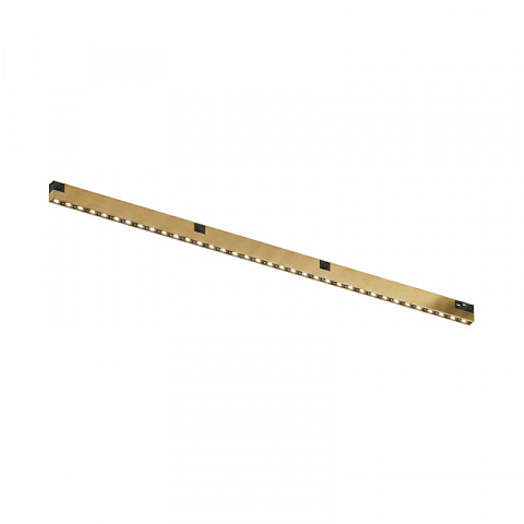 Светильник на шине Denkirs DK4772-SB