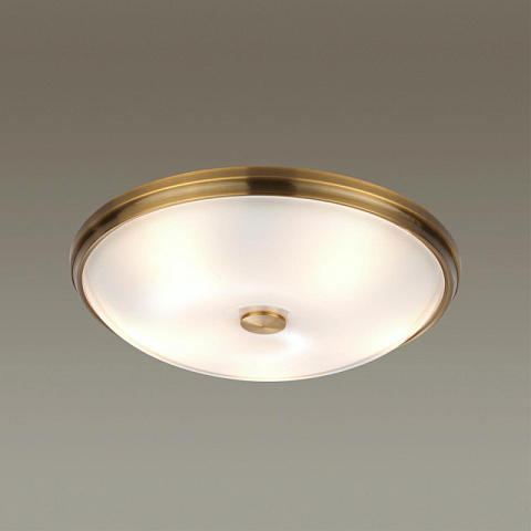Накладной светильник Odeon Light 4956/5