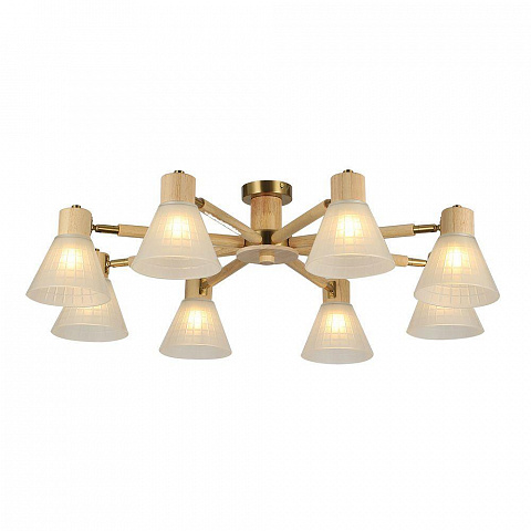 Накладная люстра ARTE Lamp A4096PL-8BR