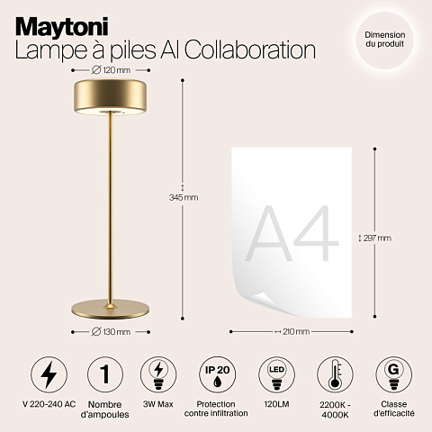 Настольная лампа Maytoni MOD229TL-L3G3K2