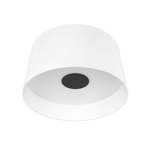 Накладной светильник LOFT IT 10360L White