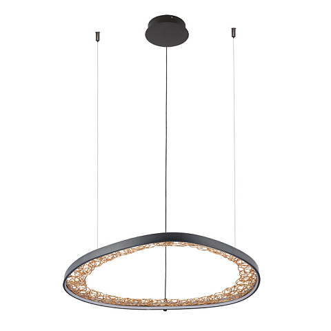 Подвесной светильник ARTE Lamp A1847SP-46BK