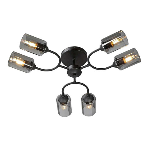 Накладная люстра Vitaluce V2823-1/6PL