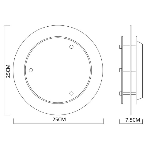 Накладной светильник ARTE Lamp A4867PL-1CC