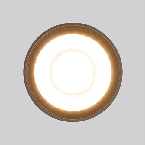 Накладной уличный светильник Elektrostandard Light LED 2105 (35132/H) черный