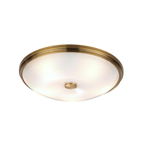 Накладной светильник Odeon Light 4956/5