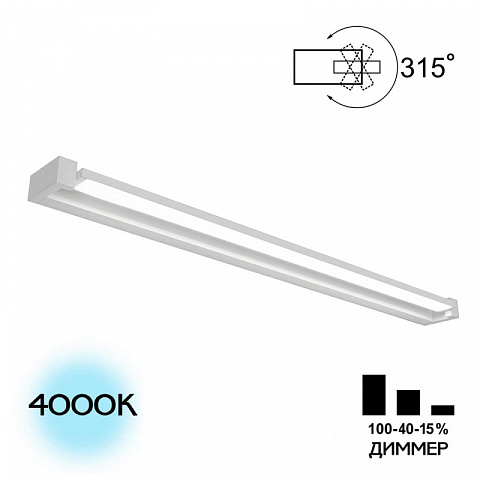 Светильник для картин Citilux CL708290N