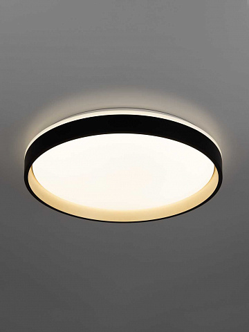 Светильник потолочный Citilux ENZO CL753451G