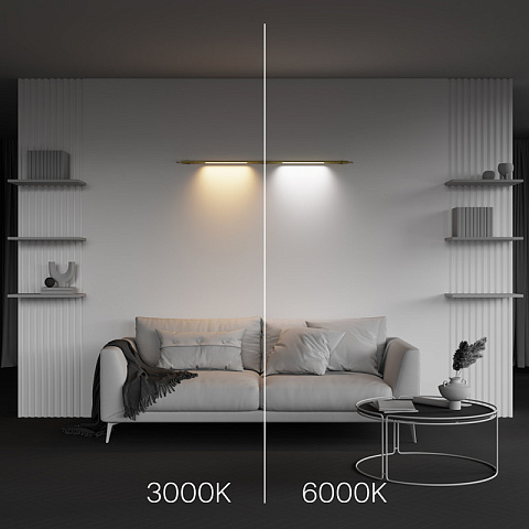 Светильник на шине Maytoni C100CL-L500-12W3-6K-BS
