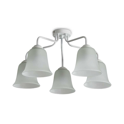 Накладная люстра Freya FR5448CL-05W