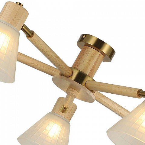 Накладная люстра ARTE Lamp A4096PL-5BR