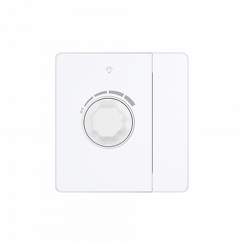 Systeme Electric Systeme Infinity Арктический лед Светорегулятор TRIAC c выключателем 300Вт