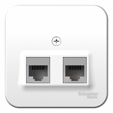 Systeme Electric Blanca наруж Бел Розетка 2-ая компьютерная RJ45, кат.5E, изолир. пластина