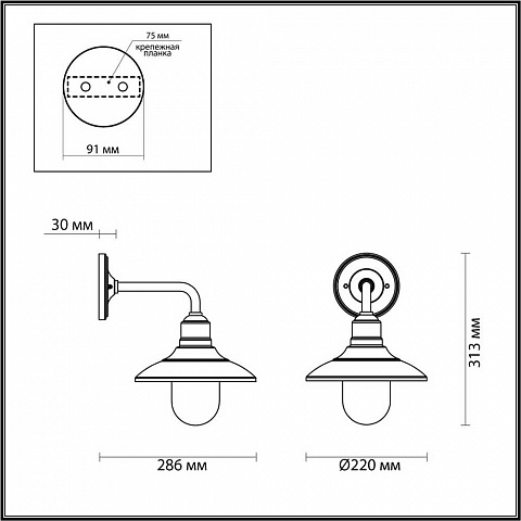 Уличный настенный светильник Odeon Light Nature Campa 4965/1W