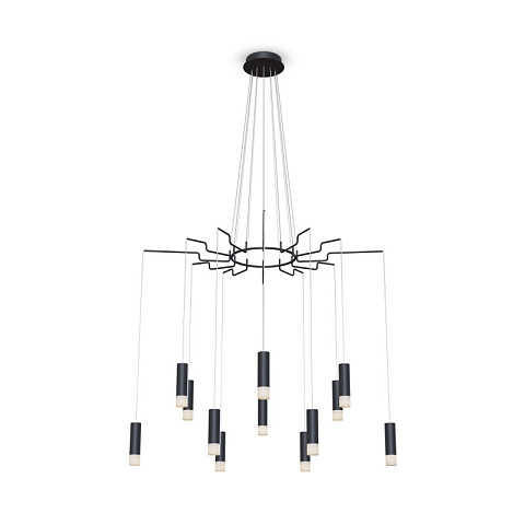 Подвесная люстра Maytoni MOD035PL-12B