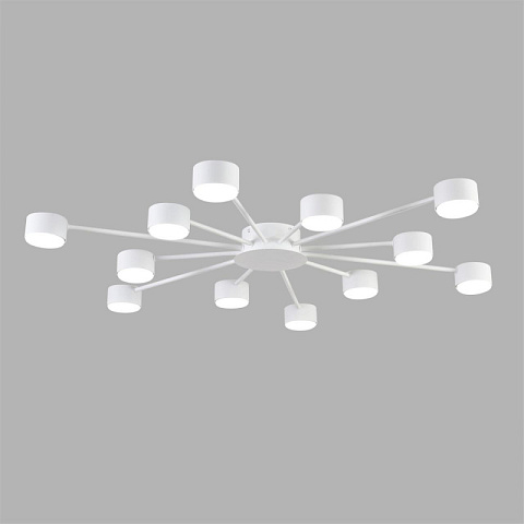 Накладная люстра LUMION 8343/12C