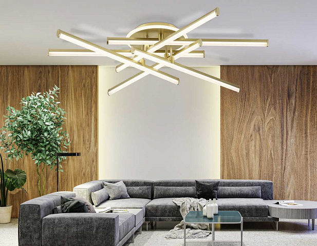 Накладной светильник Ambrella Light FL6254
