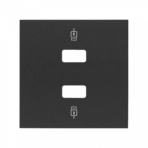 Simon 100 Черный матовый Накладка для зарядного устройства 2хUSB