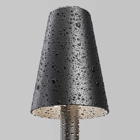 Садово-парковый светильник Maytoni O504FL-L1B3K1