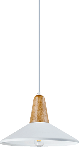 Подвесной светильник Moderli Luce V1571-1P