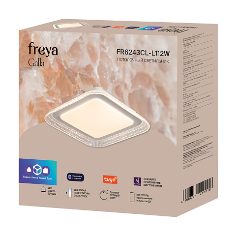Накладной светильник Freya FR6243CL-L112W