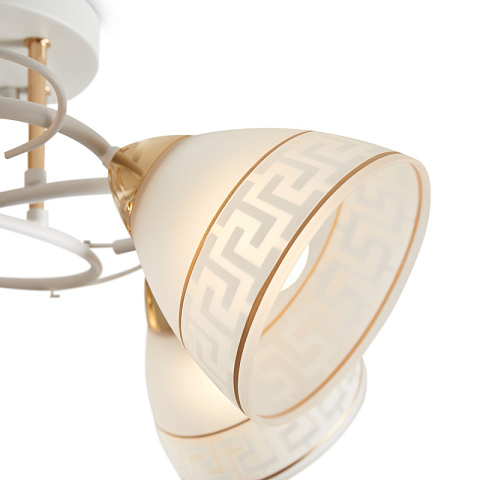 Люстра на штанге Freya FR5465CL-05W