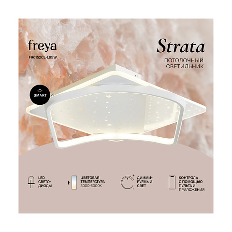 Накладной светильник Freya FR6152CL-L99W