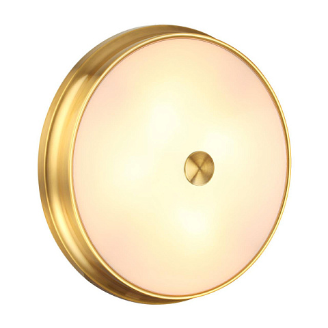 Накладной светильник Odeon Light 4824/4C