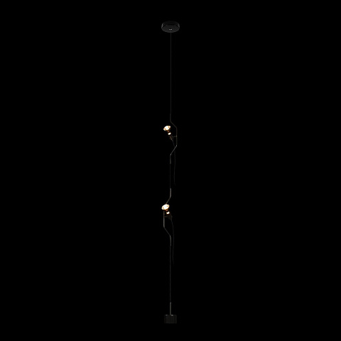 Потолочный детский светильник LOFT IT 10346/2 Black