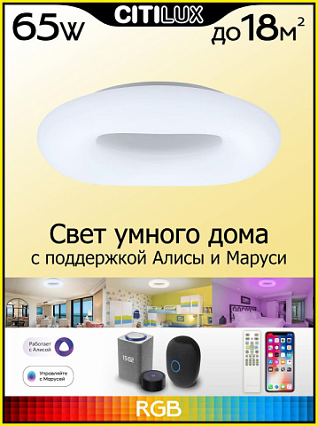 Накладной светильник Citilux CL732A520G