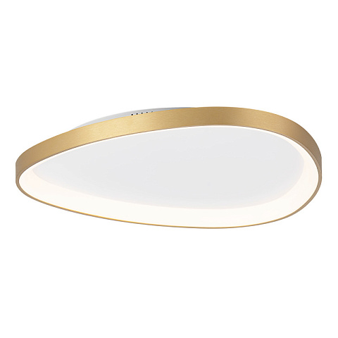 Накладной светильник Citilux CL756A162