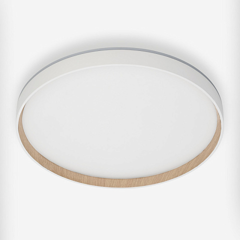 Накладной светильник Citilux CL750400R