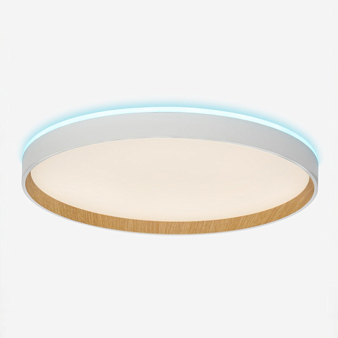 Накладной светильник Citilux CL750400R