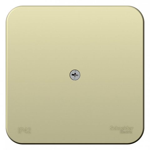 Systeme Electric Blanca наруж Беж Коробка распределительная IP42