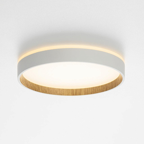 Накладной светильник Citilux CL750240