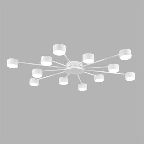 Накладная люстра LUMION 8343/12C