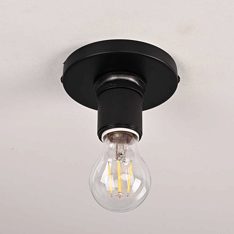 Потолочный светильник Imperium Loft RH Utilitaire Socket Flushmount 123676-22