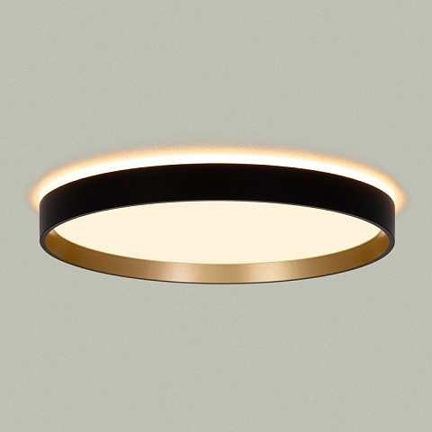 Накладной светильник Citilux CL750321R