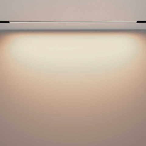 Светильник на шине Maytoni TR030-2-30W3K-B