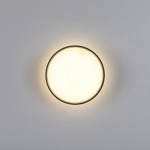 Накладной светильник Lightstar 215937