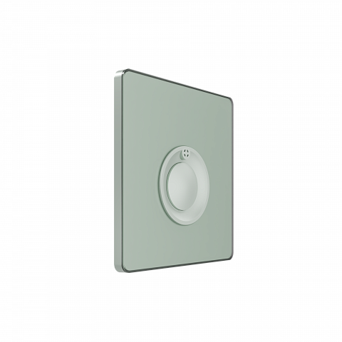 Systeme Electric Systeme Infinity Таежное утро Выключатель кнопочный 100Вт с выдержкой времени